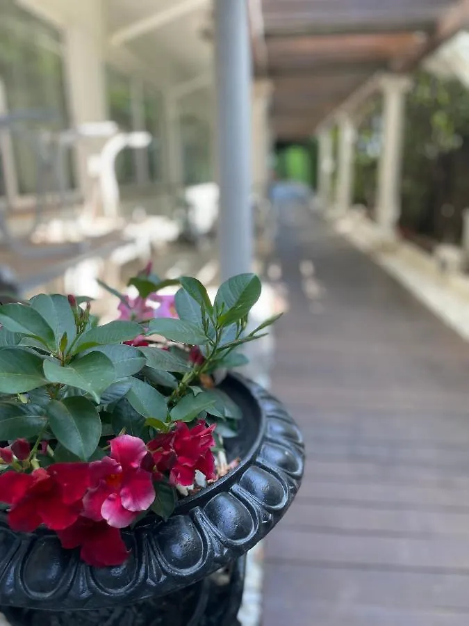 Park Hotel Cellini Lido di Jesolo